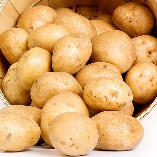 Potato